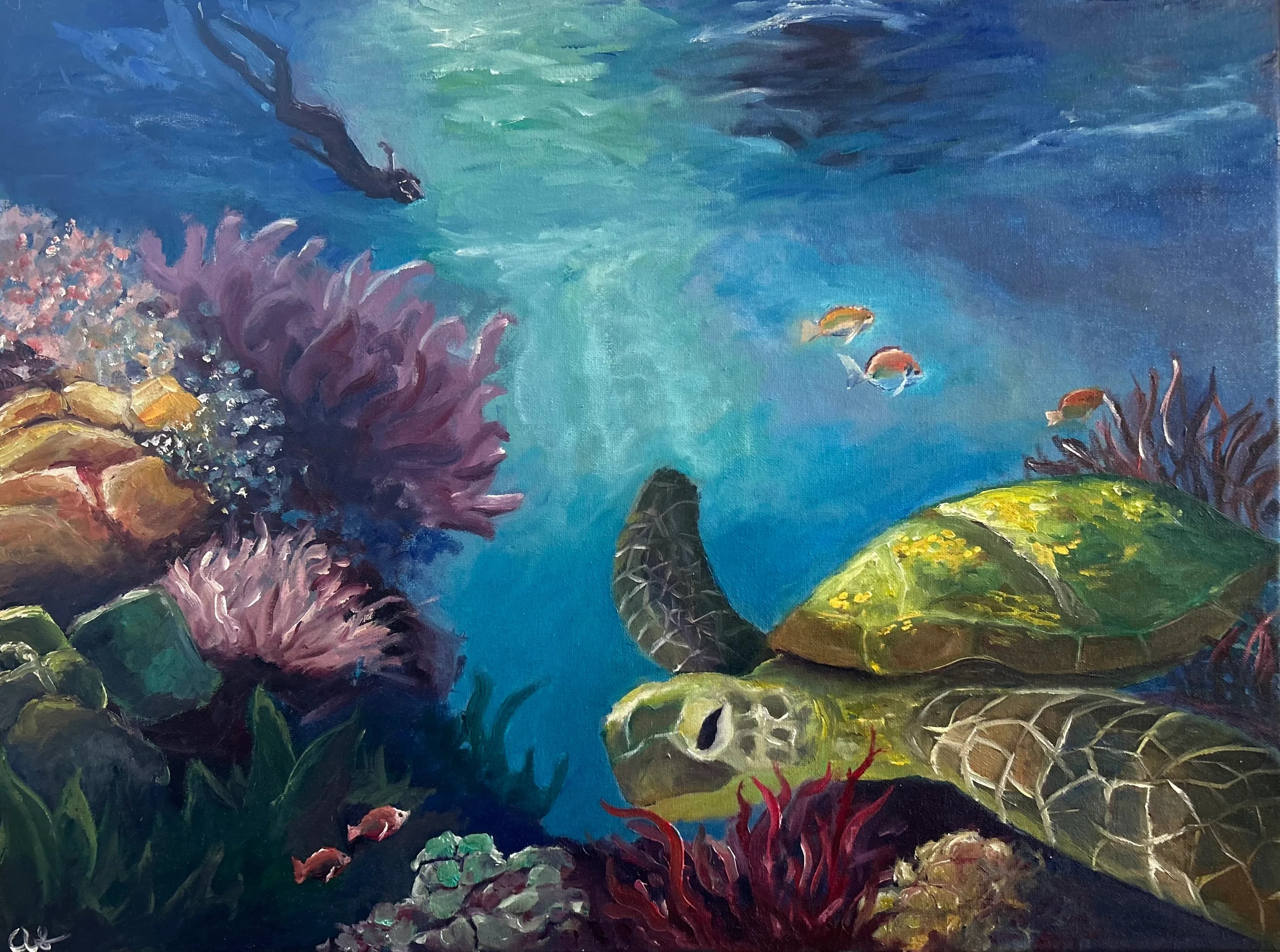 Snorkeling Hawaii